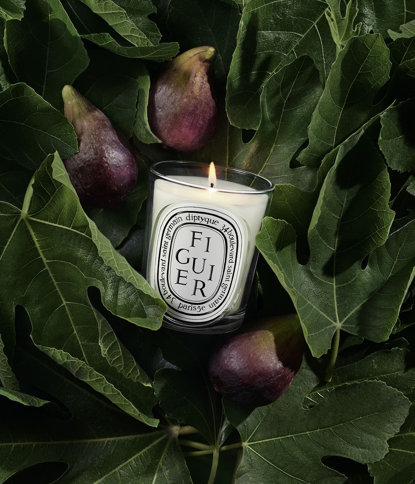 Serie: Diptyque > Figuier