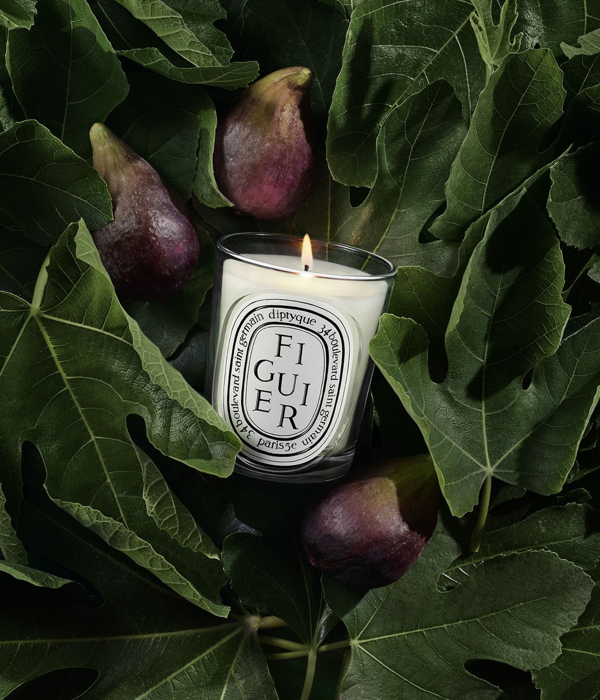 Diptyque Figuier Duftkerze brennend zwischen Feigenblättern und Feigen