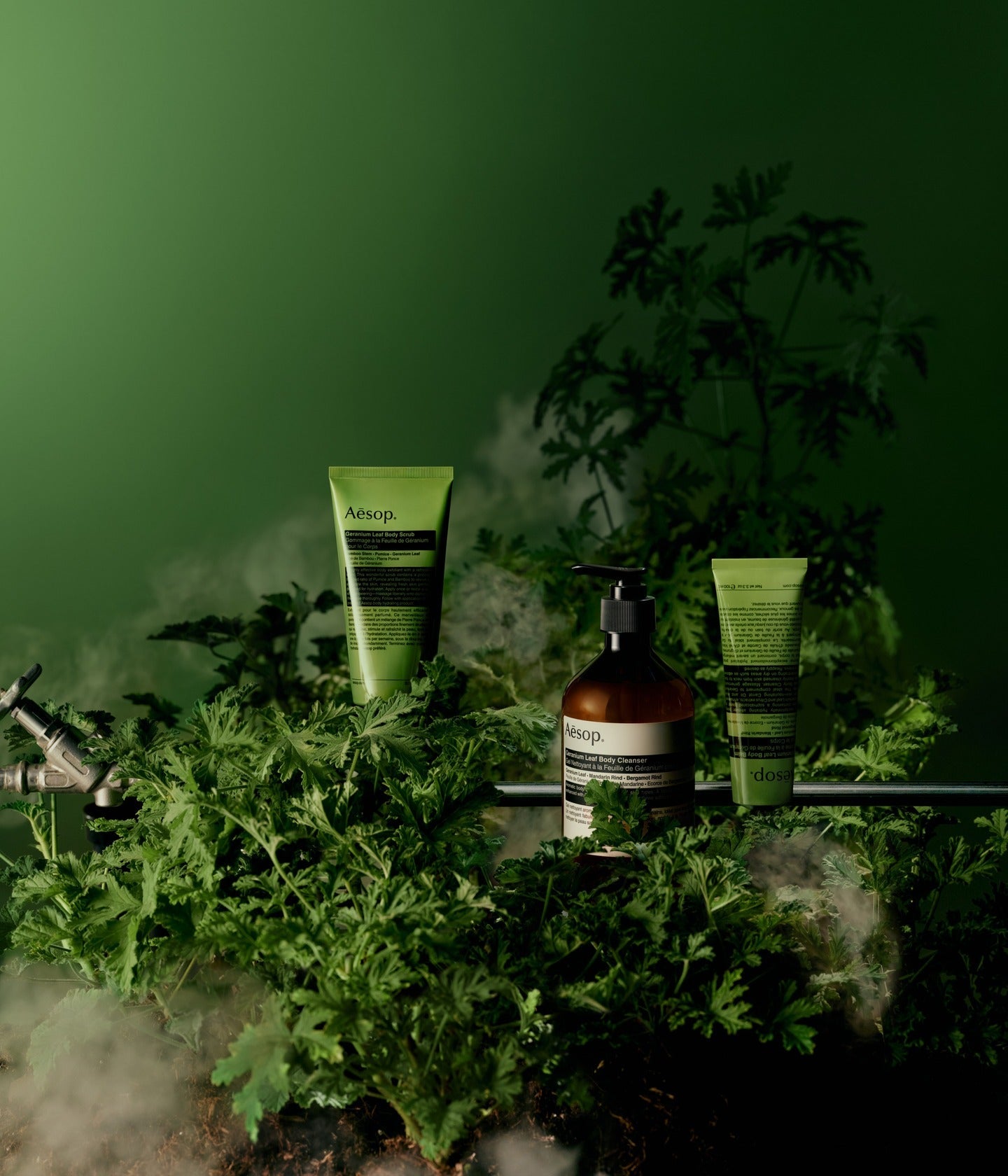 Geranium Leaf Body Scrub