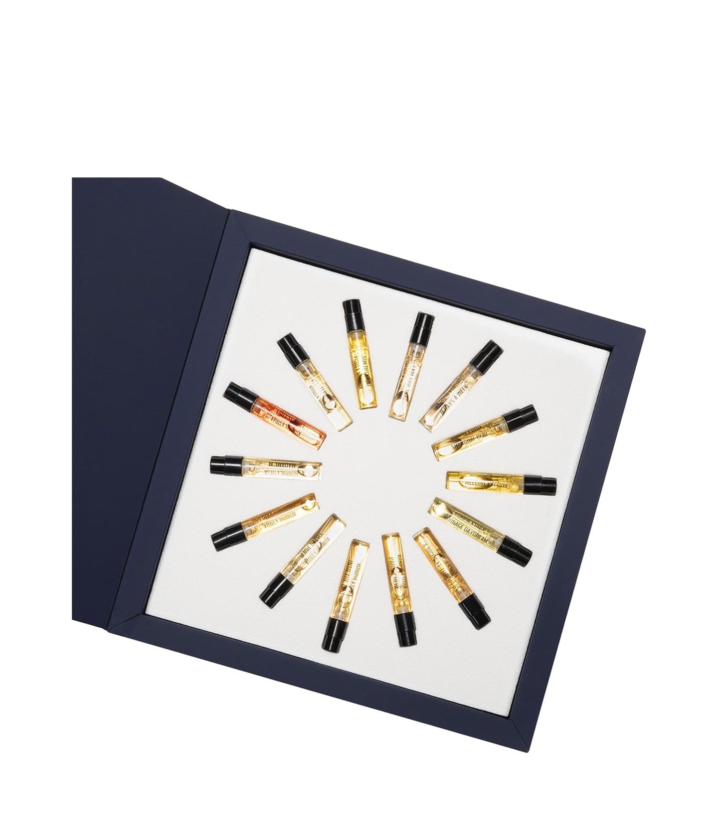 Astrophil & Stella Discovery Kit