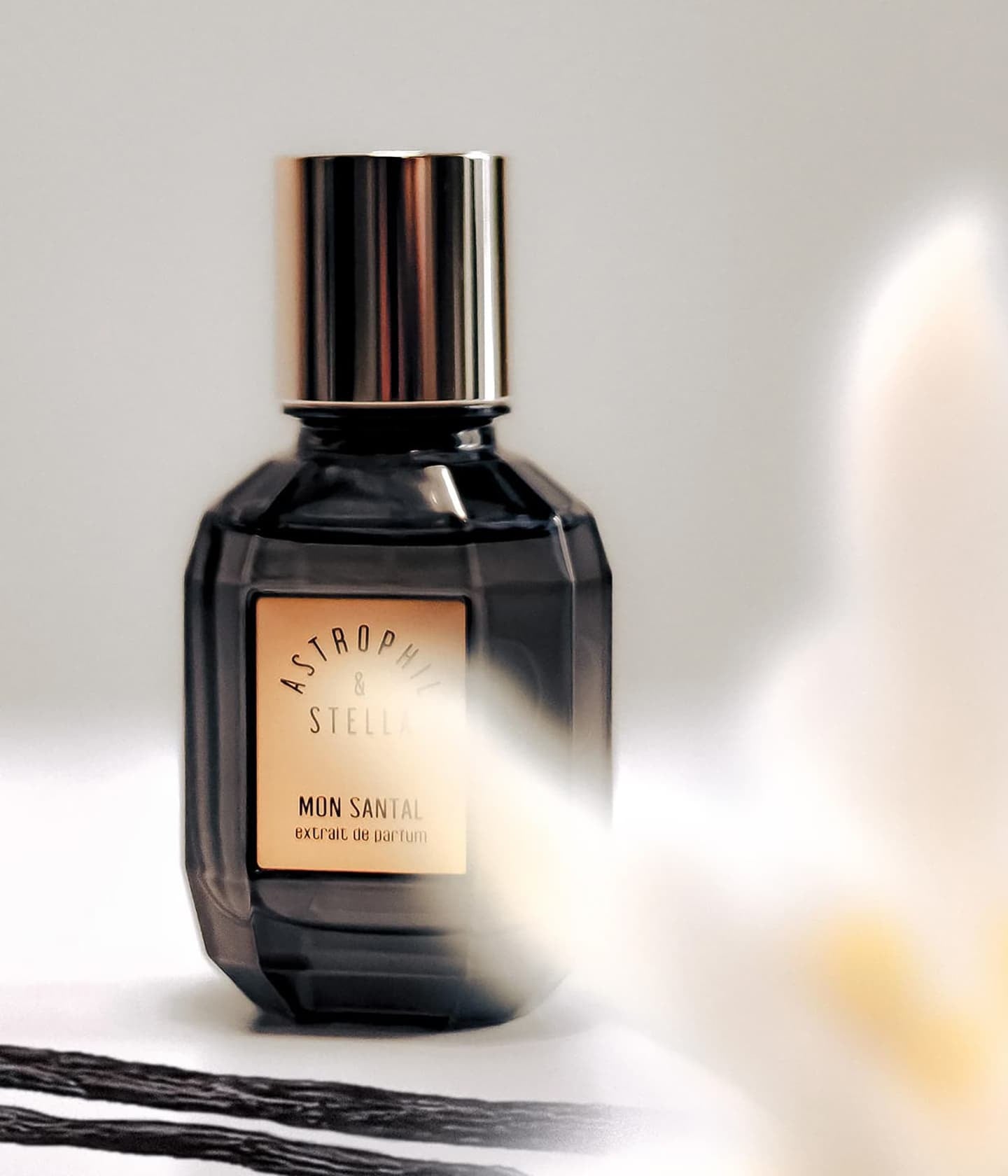 Astrophil & Stella Mon Santal
