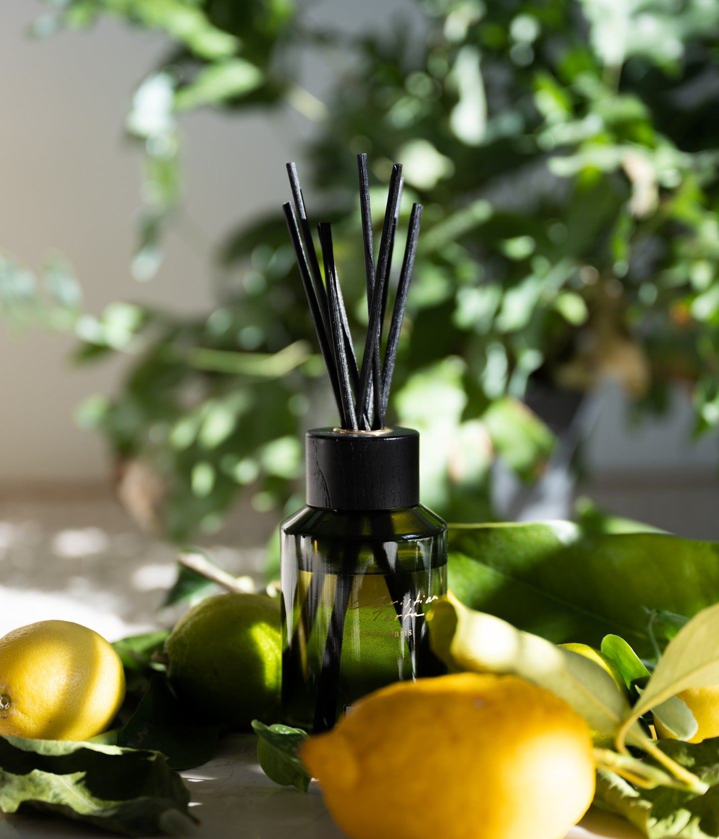 Diffusor Jardin Citrus – Christian Tortu