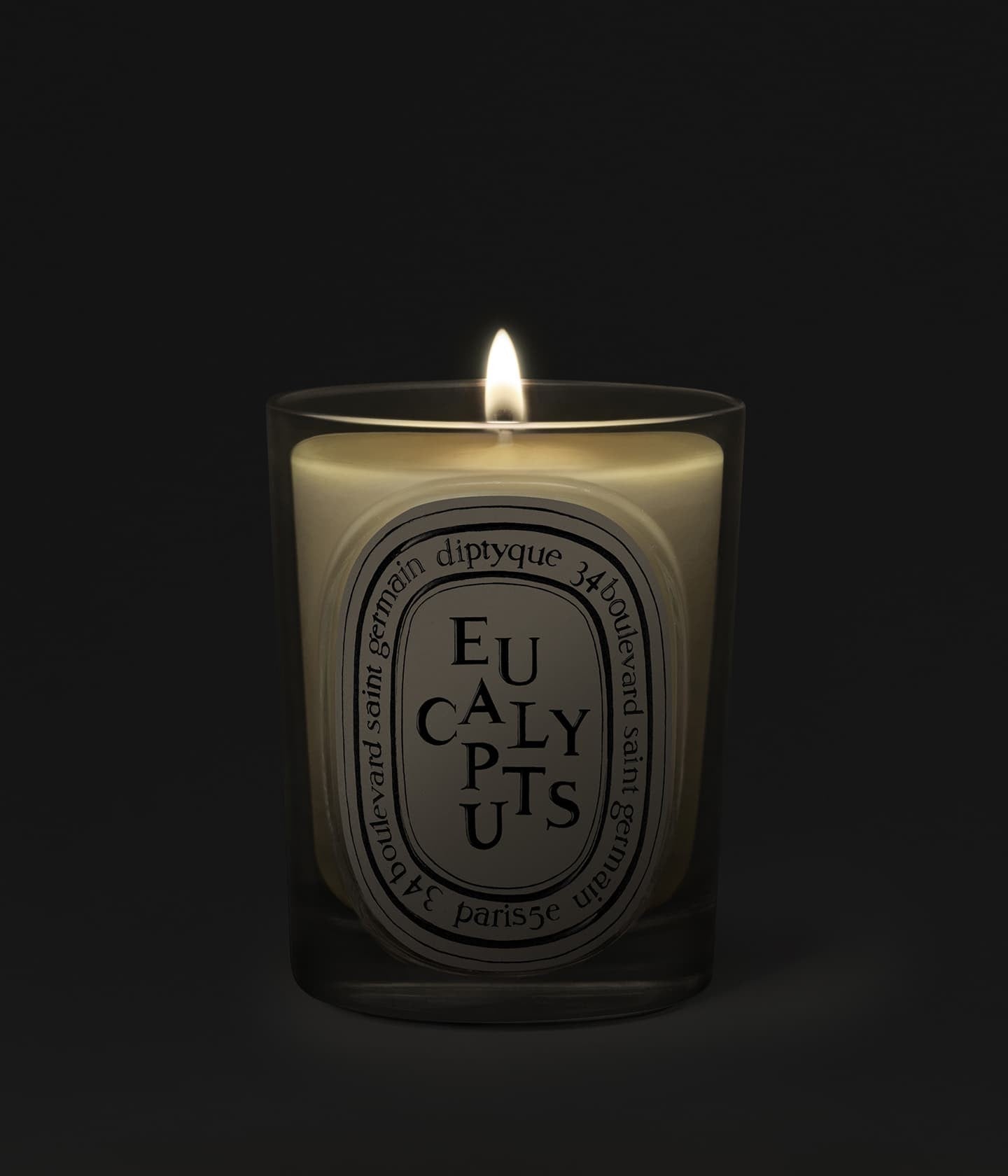 Duftkerze Eucalyptus Mood – Diptyque