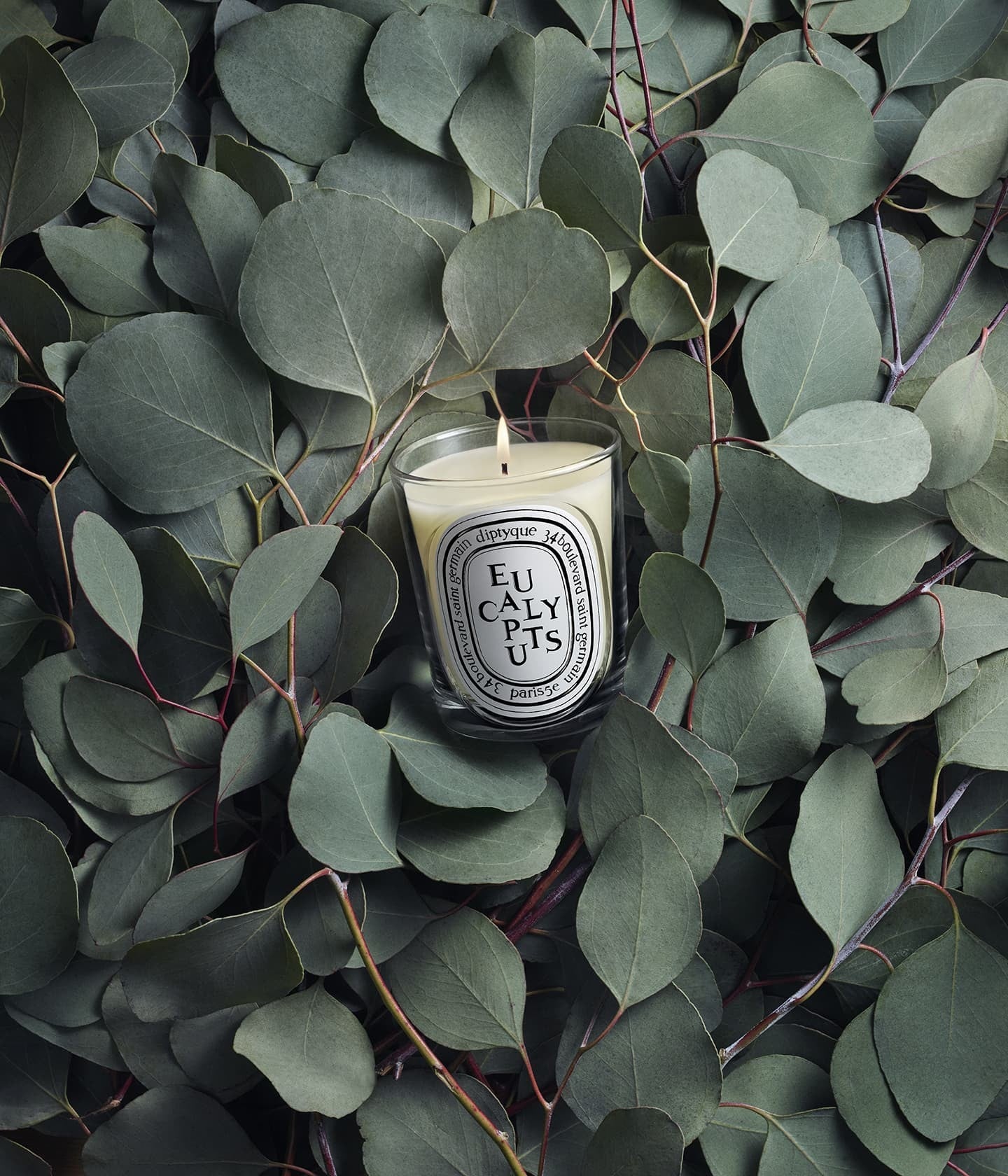 Duftkerze Eucalyptus Mood – Diptyque