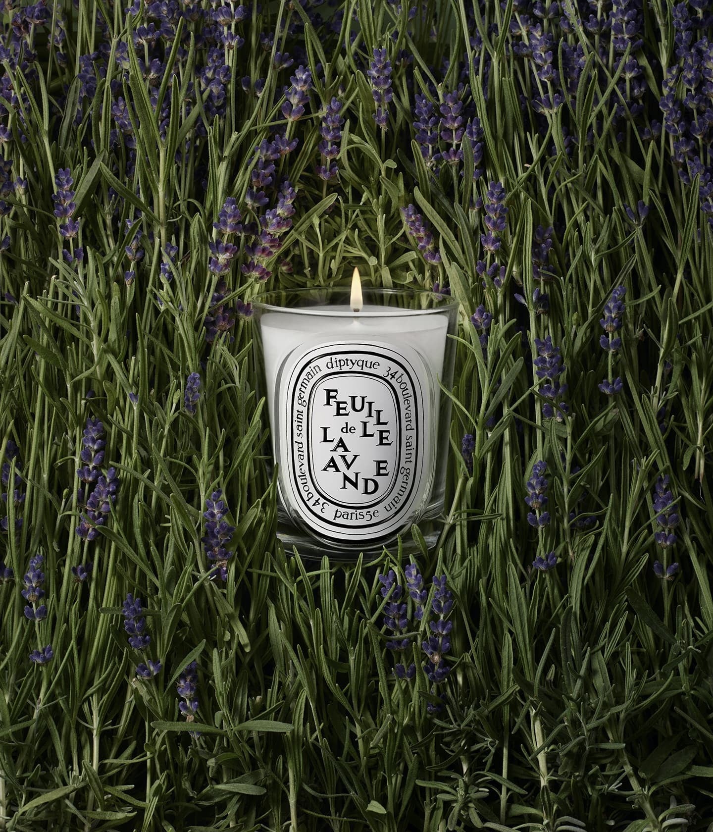 Duftkerze Feuille de Lavande Mood – Diptyque