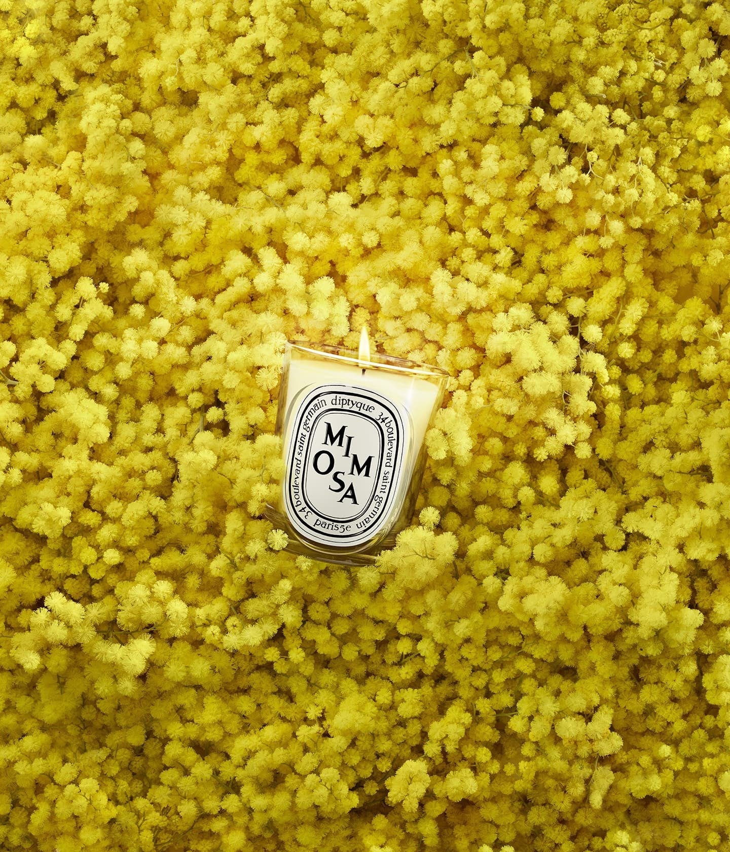 Duftkerze Mimosa Mood – Diptyque