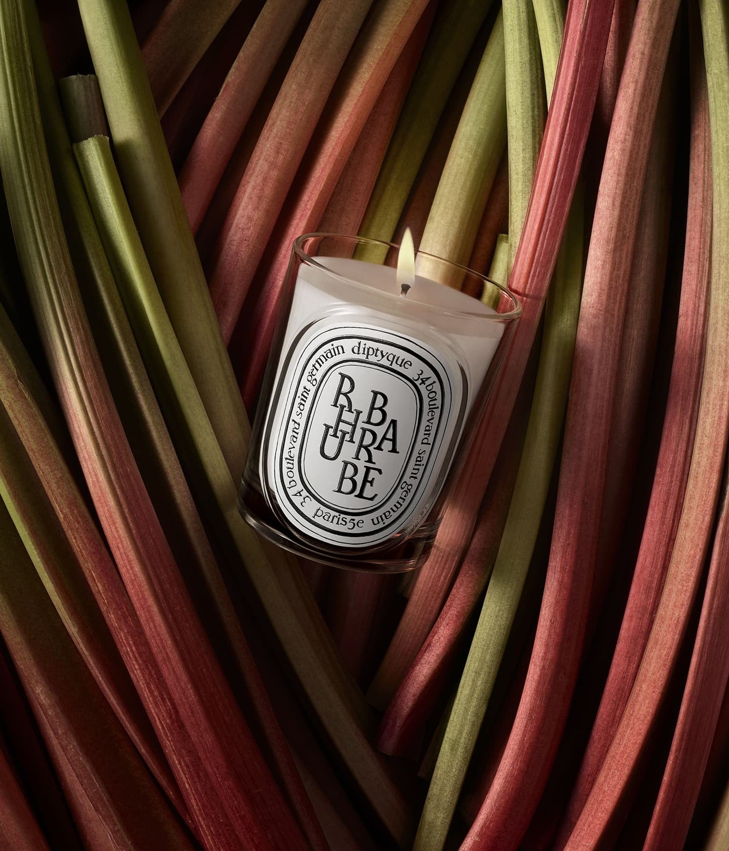 Duftkerze Rhubarbe Mood – Diptyque