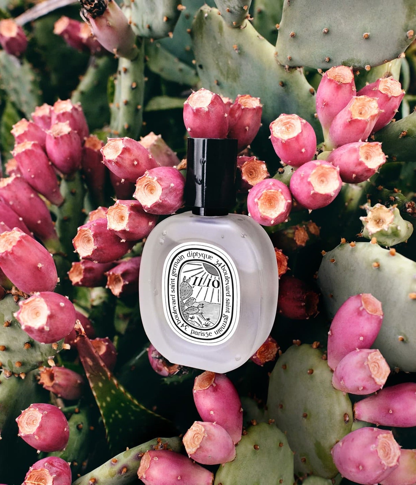 Haarparfum Ilio Mood – Diptyque