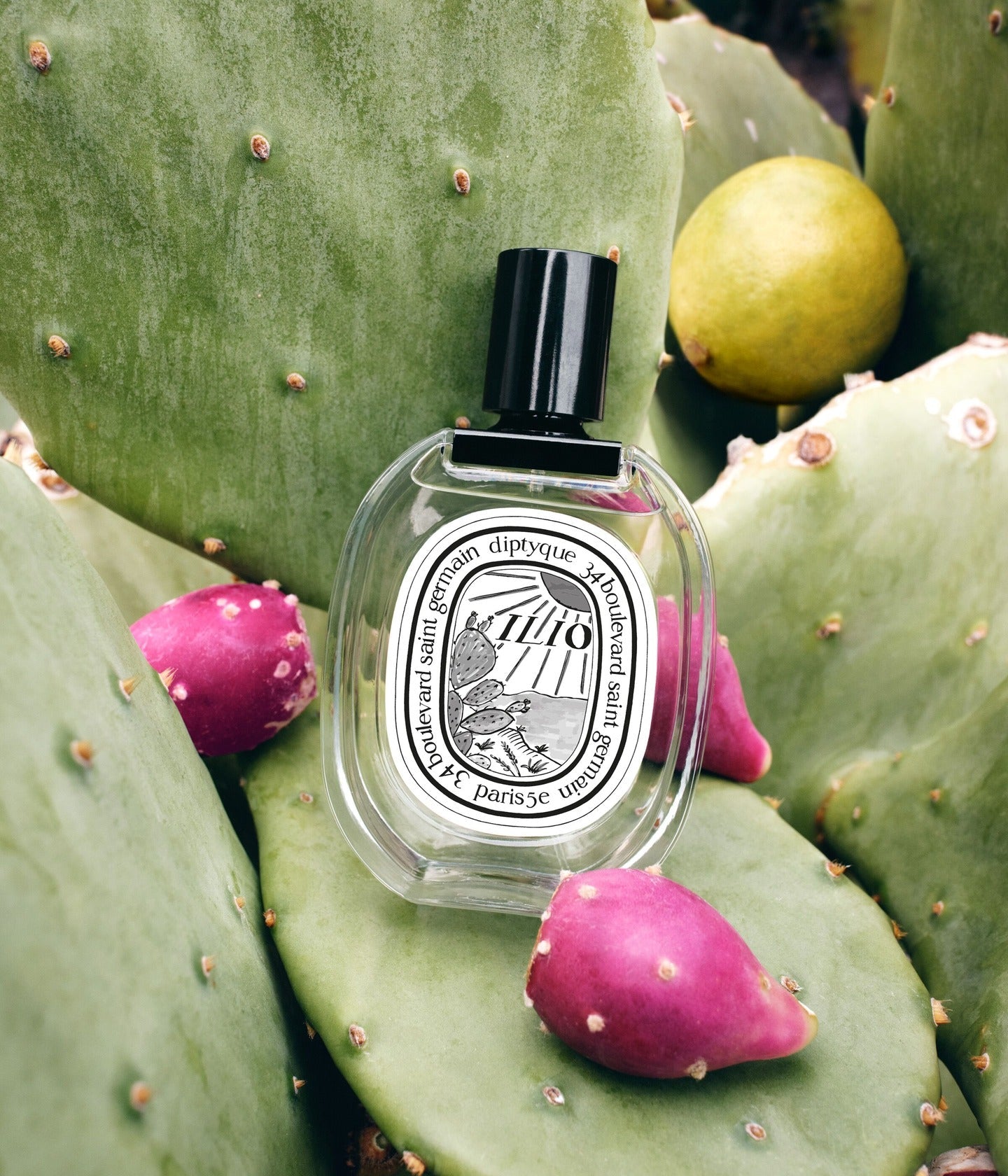 Eau de Toilette Ilio Mood – Diptyque