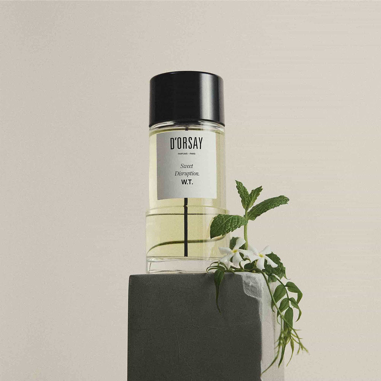Eau de Parfum W.T. Sweet Disruption