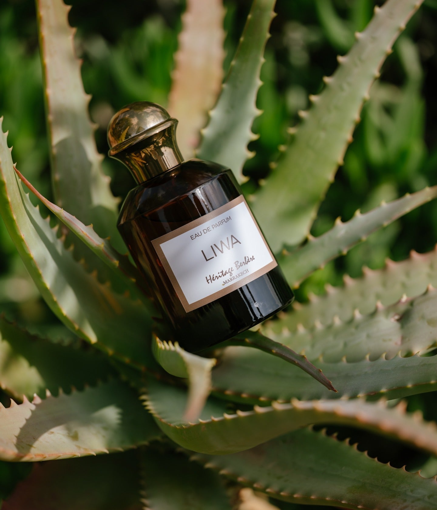 Eau de Parfum Liwa
