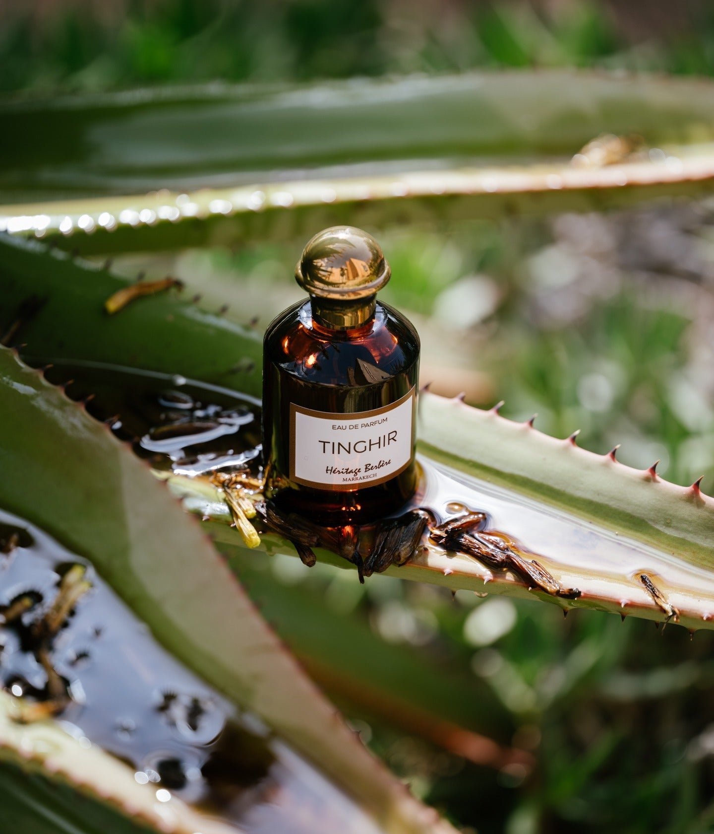 Eau de Parfum Tinghir
