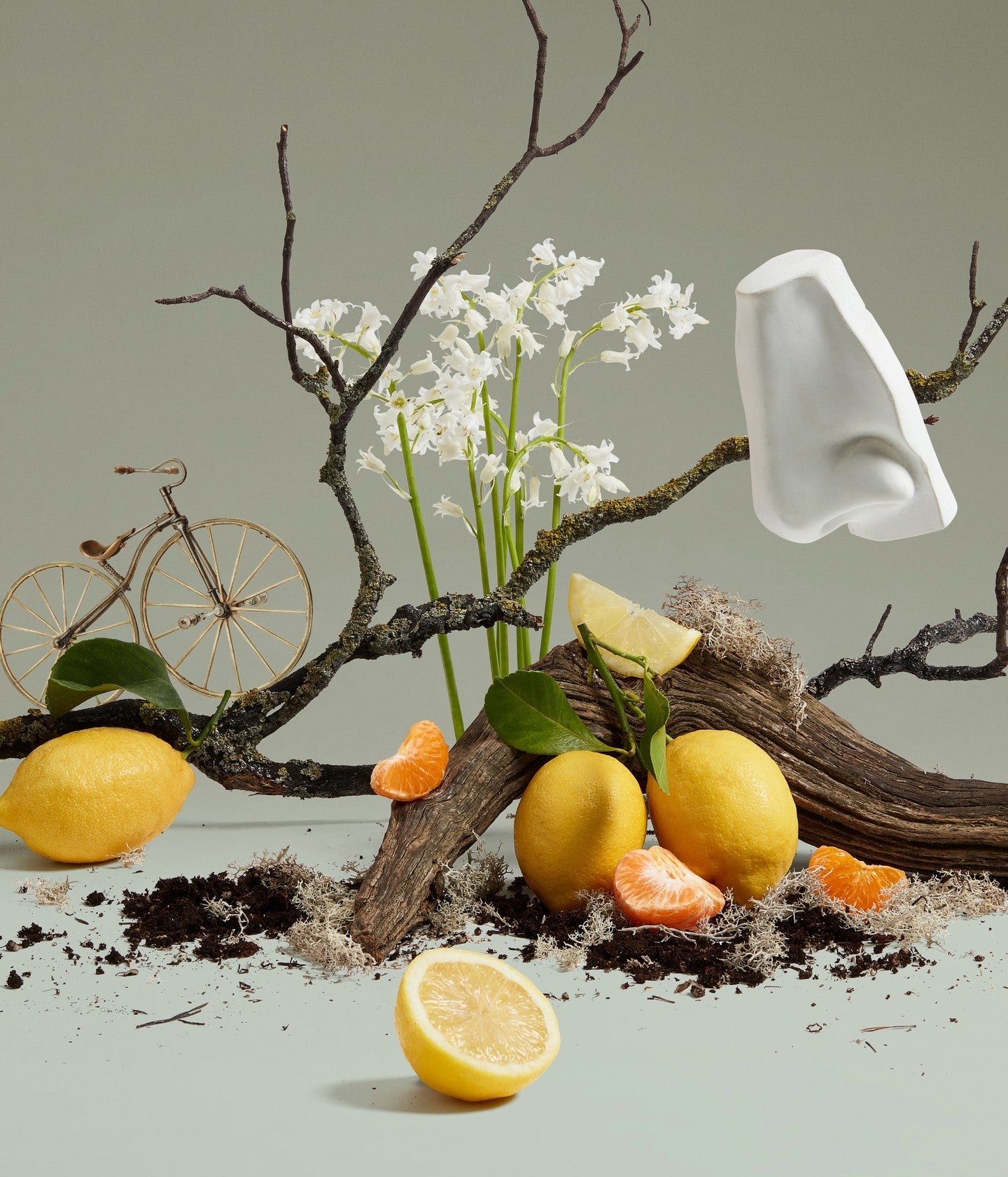 Eau de Cologne Quercus