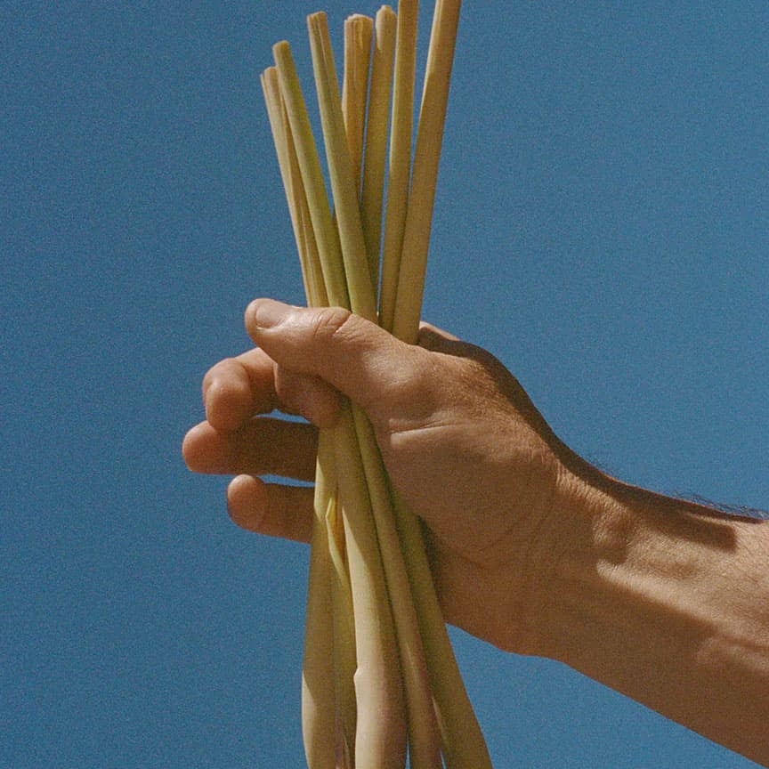 Serie: L:A Bruket > Lemongrass