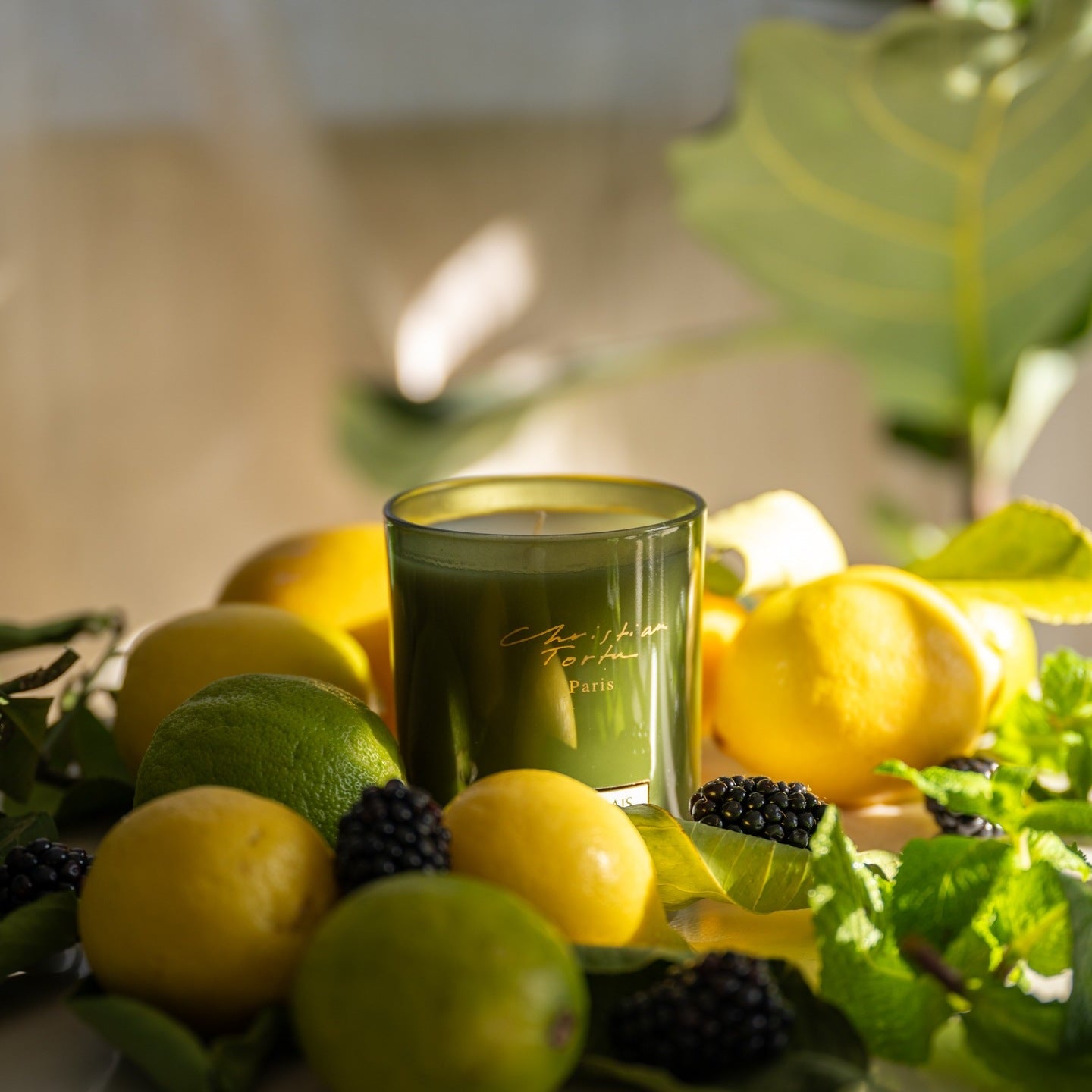 Jardin Citrus – Christian Tortu