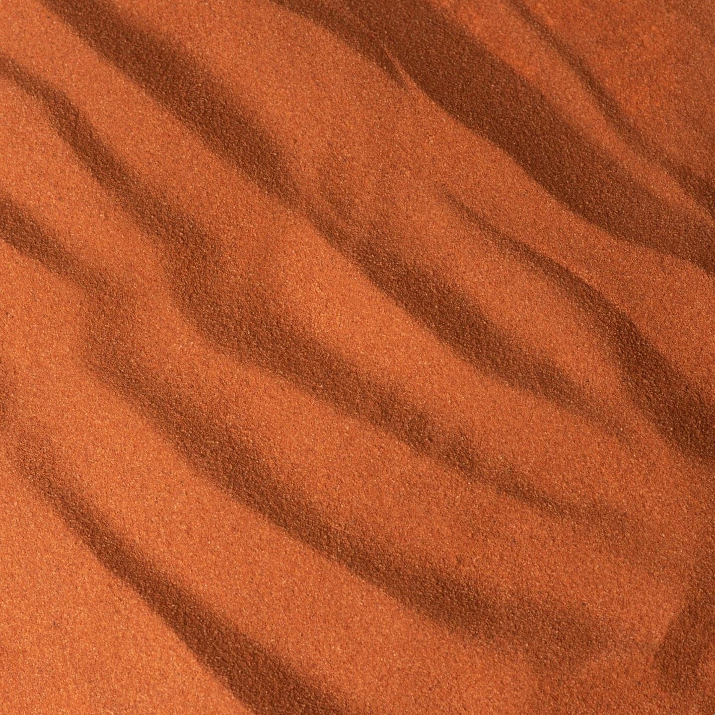 Eau de Parfum Nuit de Sable