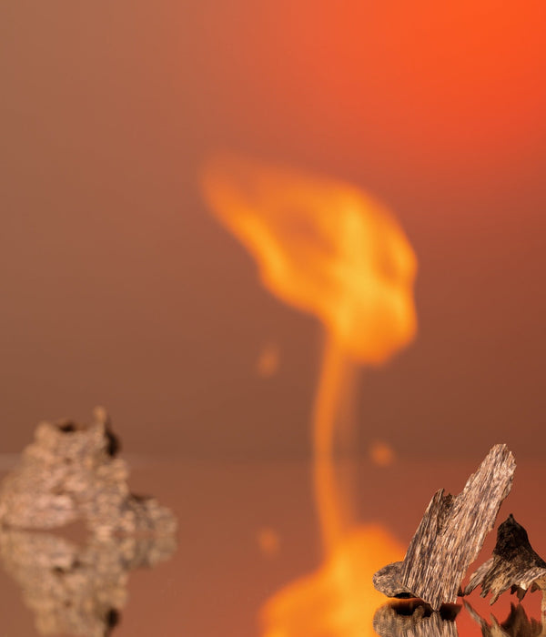 Brand: L'Atelier Parfum
