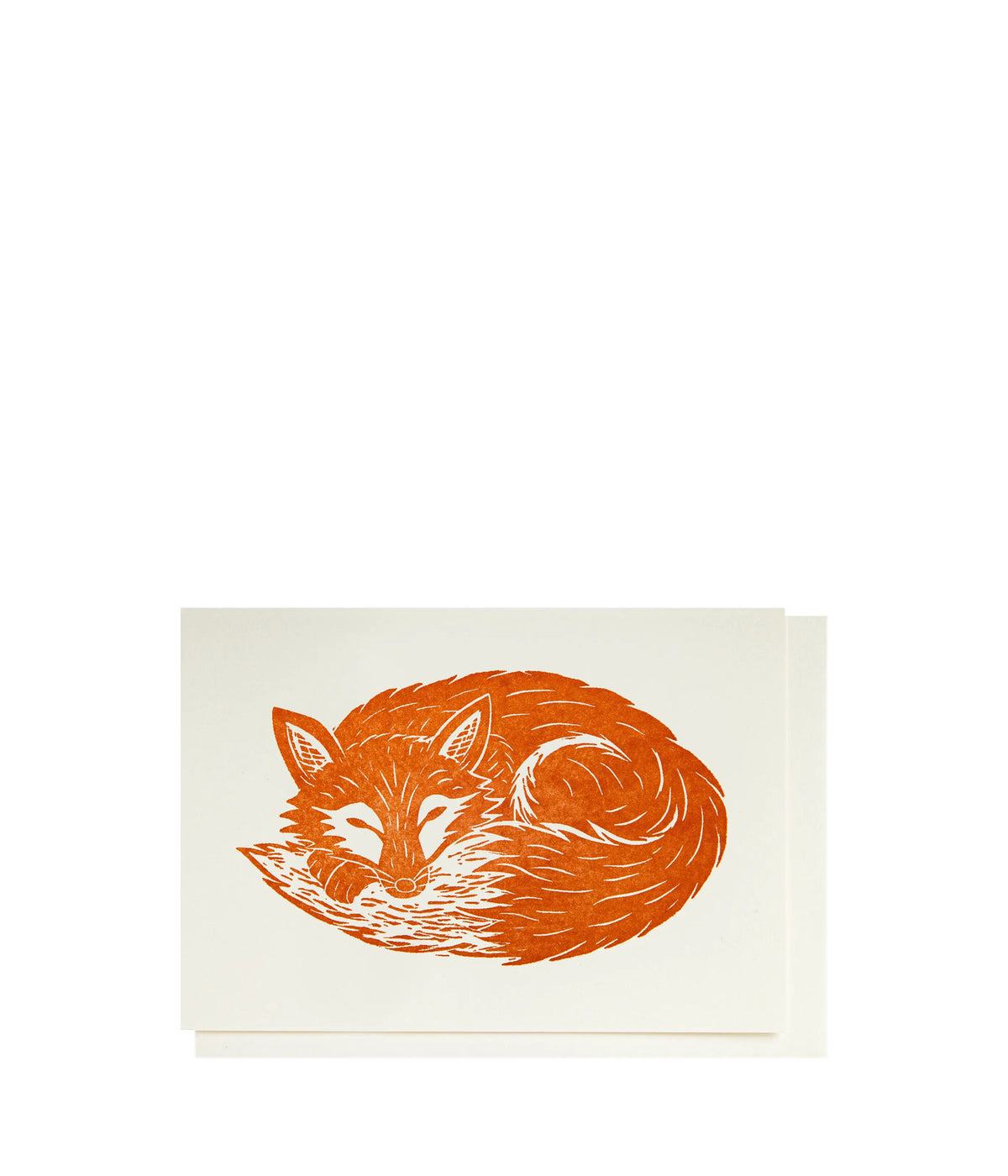 Archivist Gallery Grußkarte Sleeping Fox
