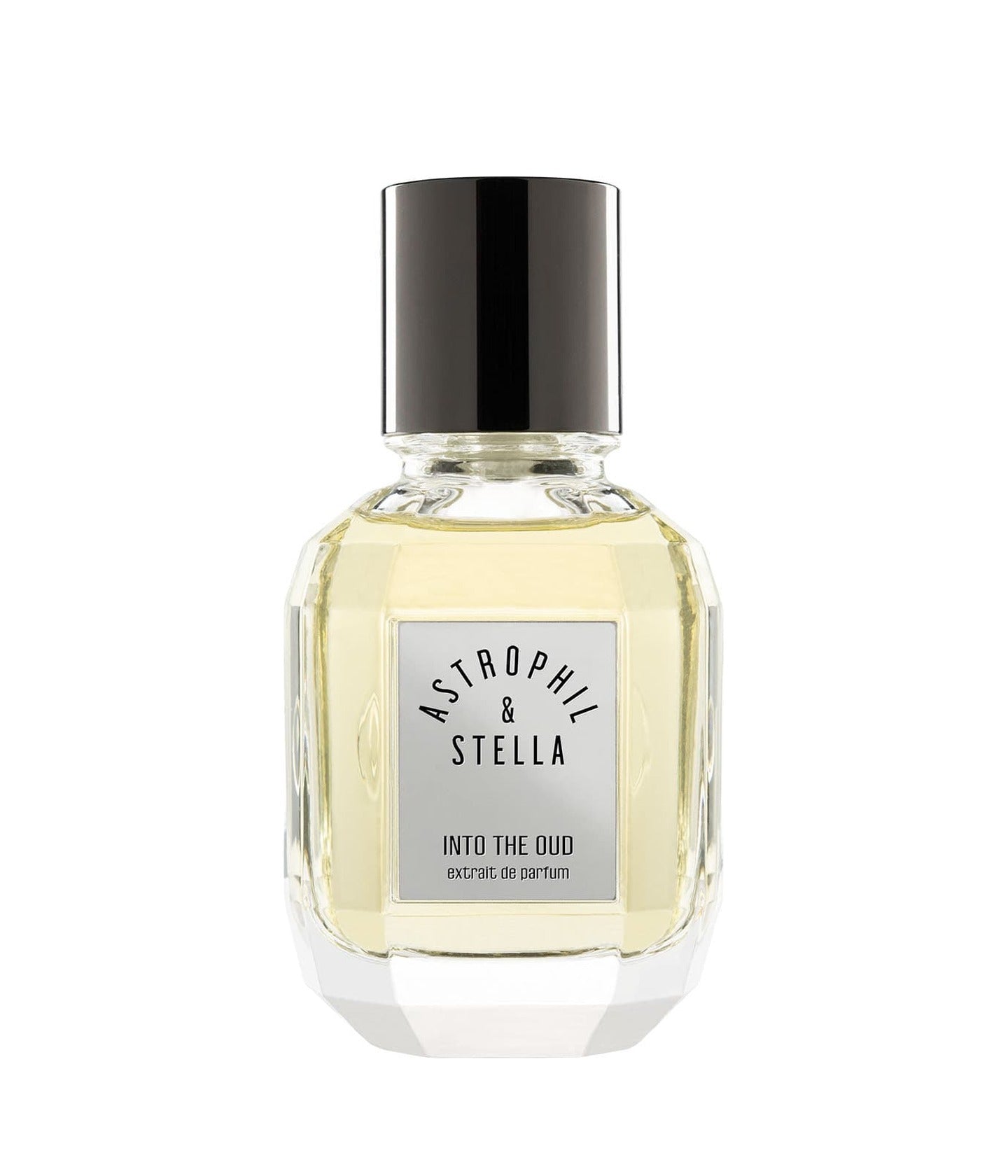 Astrophil & Stella Into The Oud