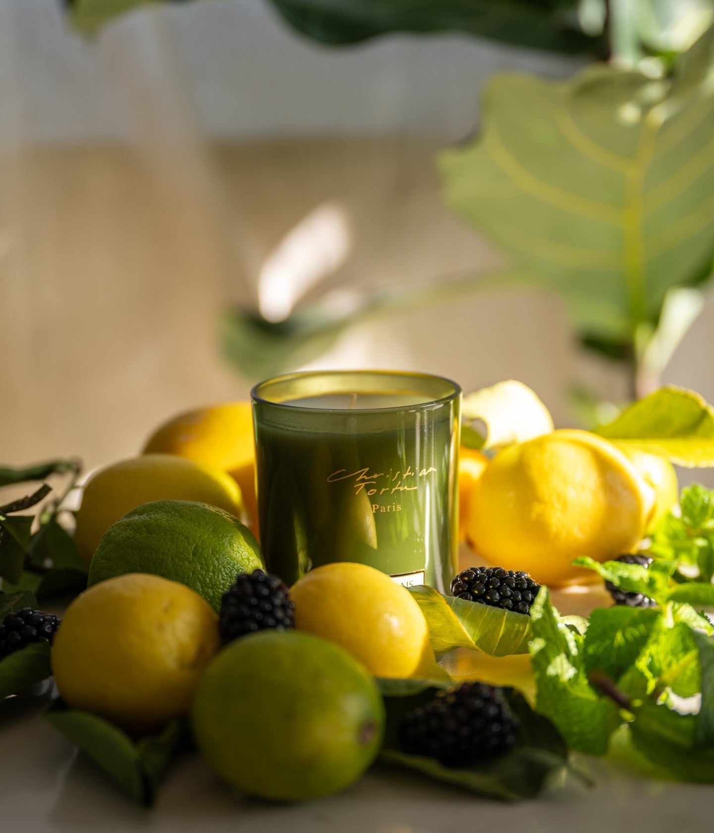 Duftkerze Jardin Citrus – Christian Tortu