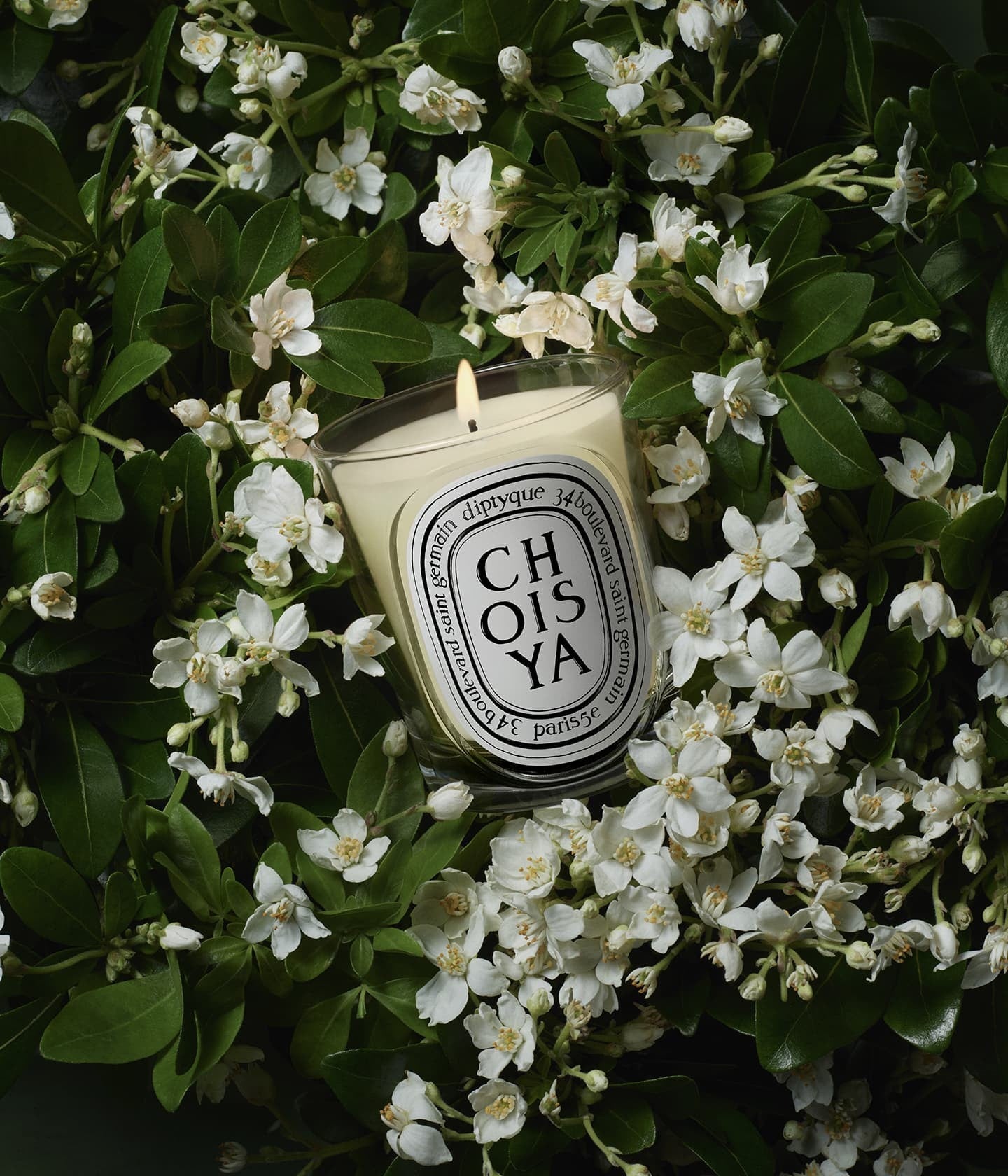 Duftkerze Choisya Mood – Diptyque