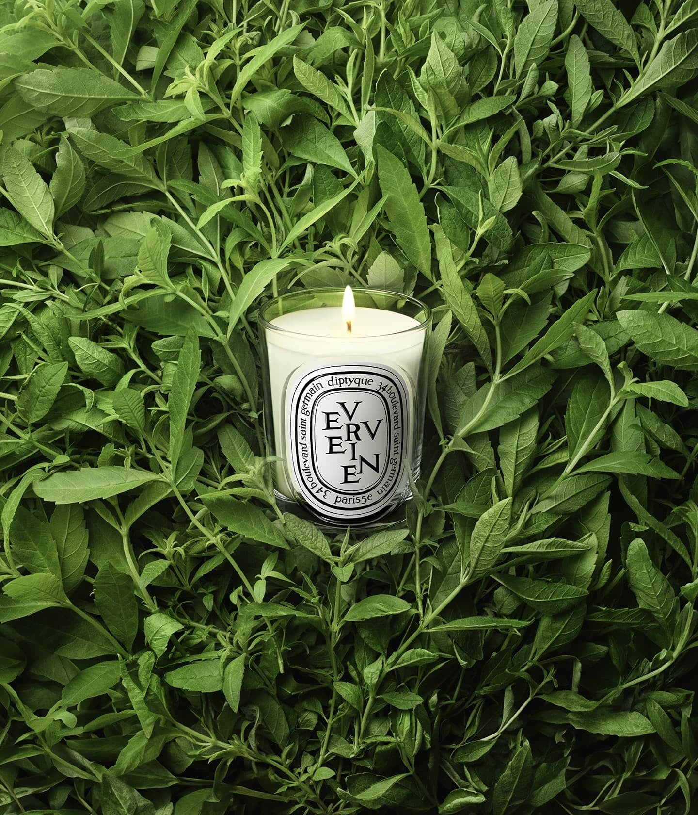Duftkerze Verveine Mood – Diptyque