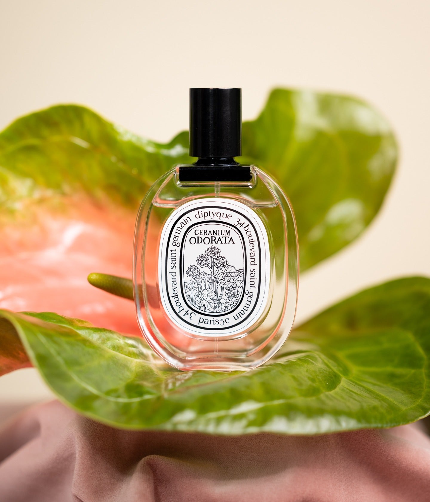 Eau de Toilette Geranium Odorata Mood – Diptyque