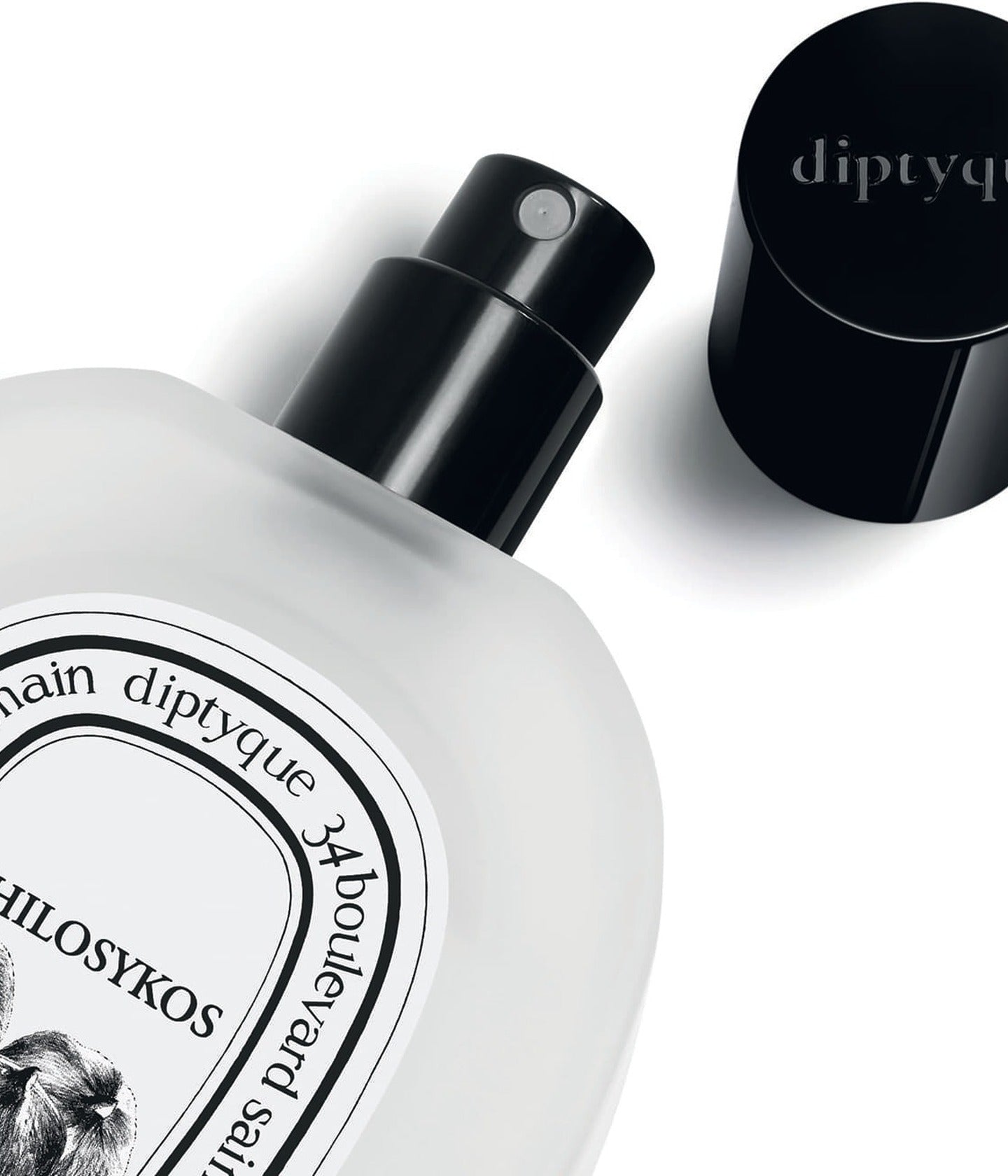Haarparfum Philosykos Detail – Diptyque