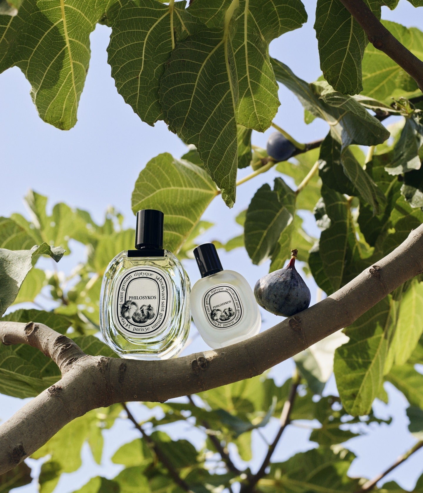 Eau de Toilette Philosykos Mood – Diptyque