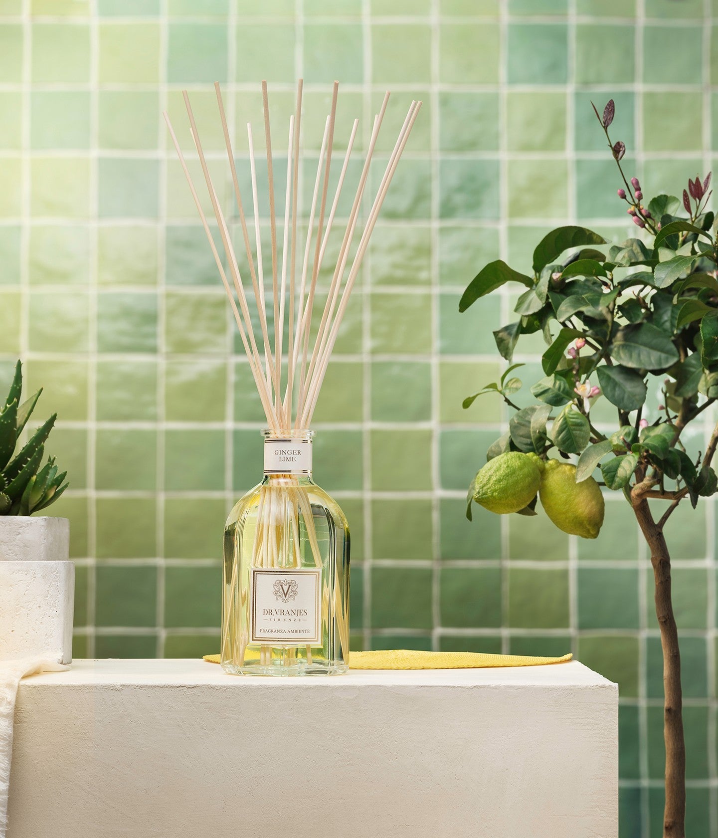 Diffusor Ginger Lime
