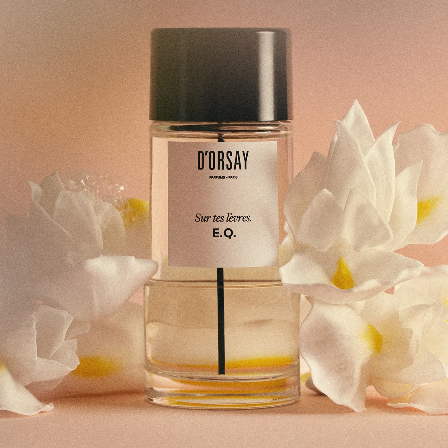 Eau de Parfum G.A. Dandy Or Not