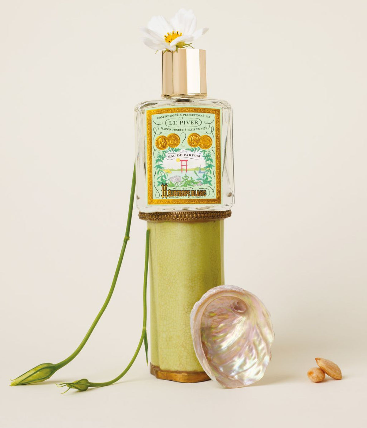 Eau de Parfum Héliotrope Blanc – L.T. Piver, Stillleben mit Margerite und Perlmutt
