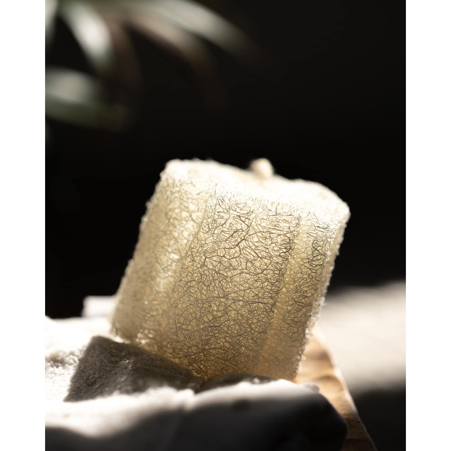 Naturschwamm Luffa
