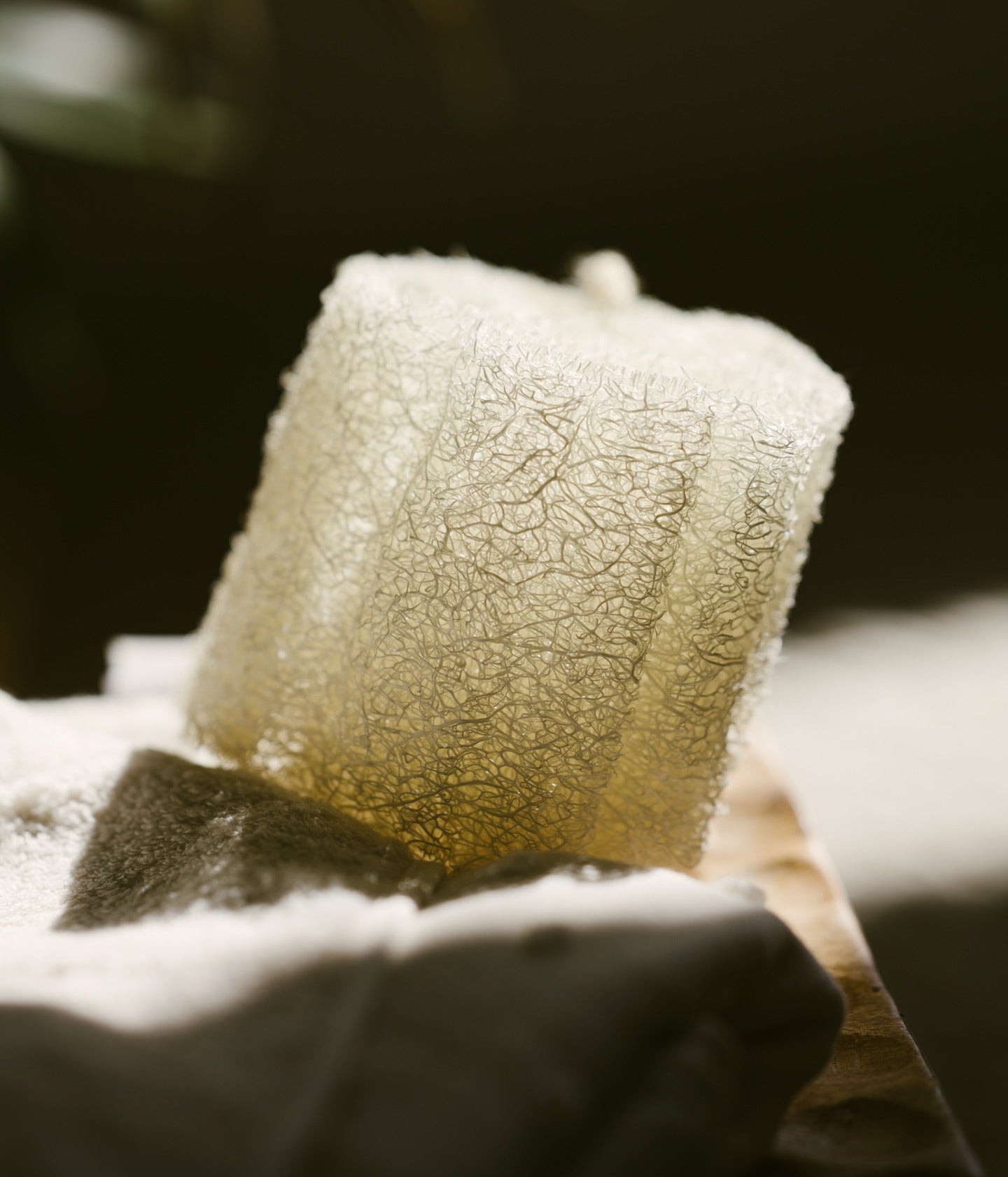 Naturschwamm Luffa